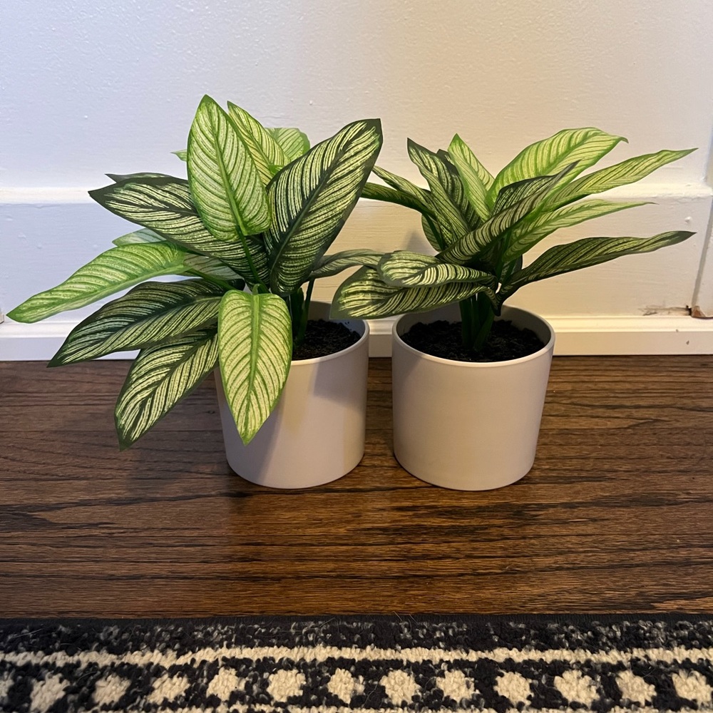 Matching faux plants